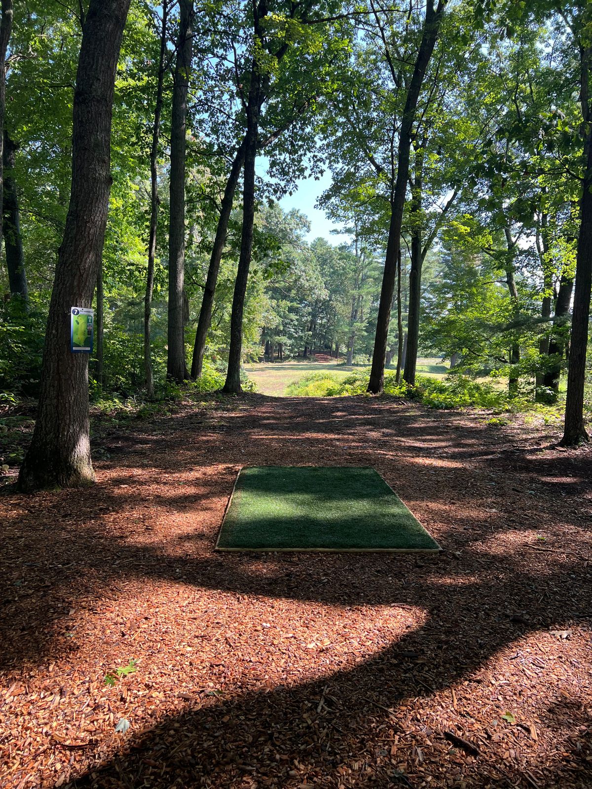 Hole 7 Tee