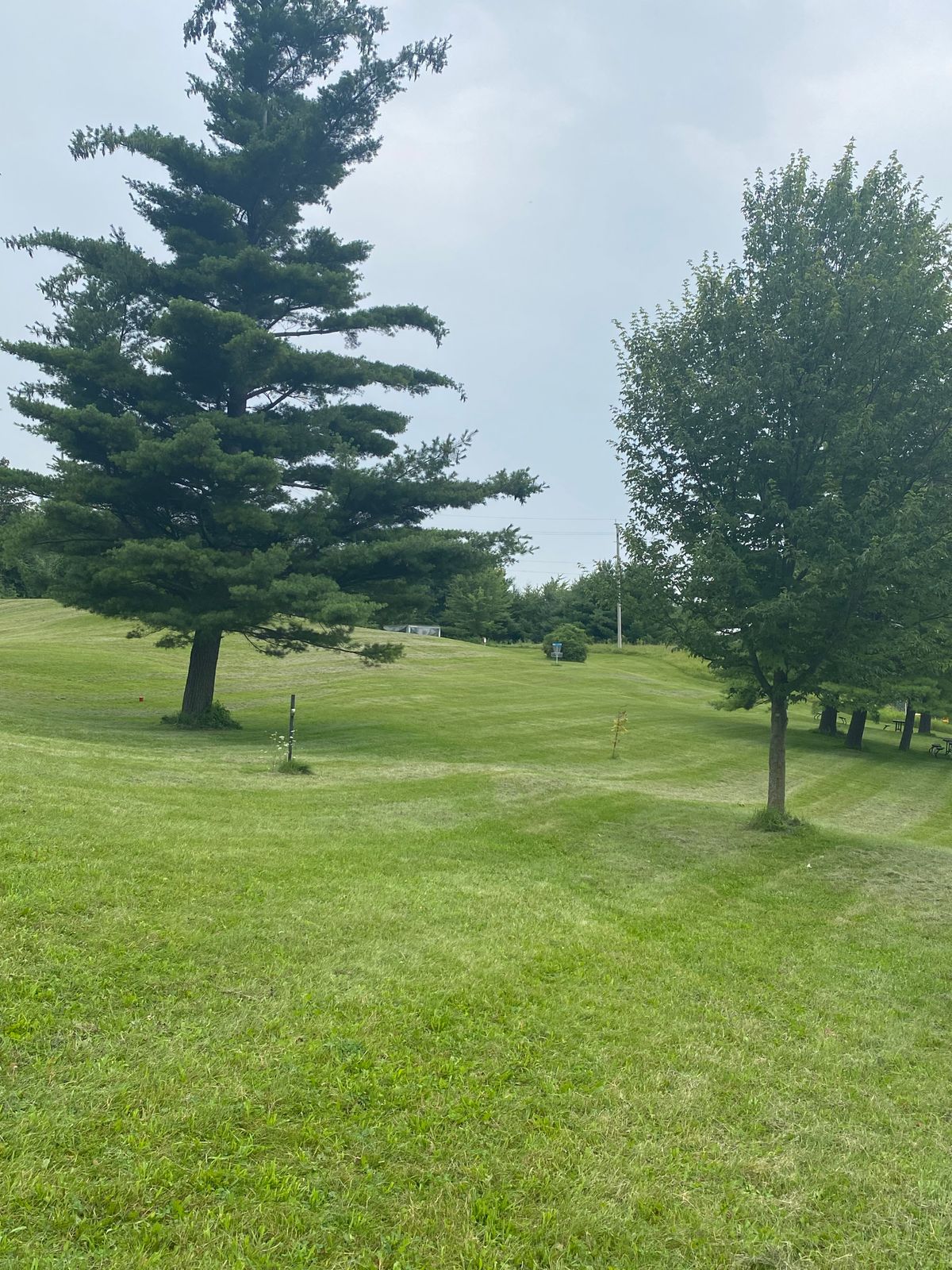 A fun uphil shot with some deceptive tree obstacles