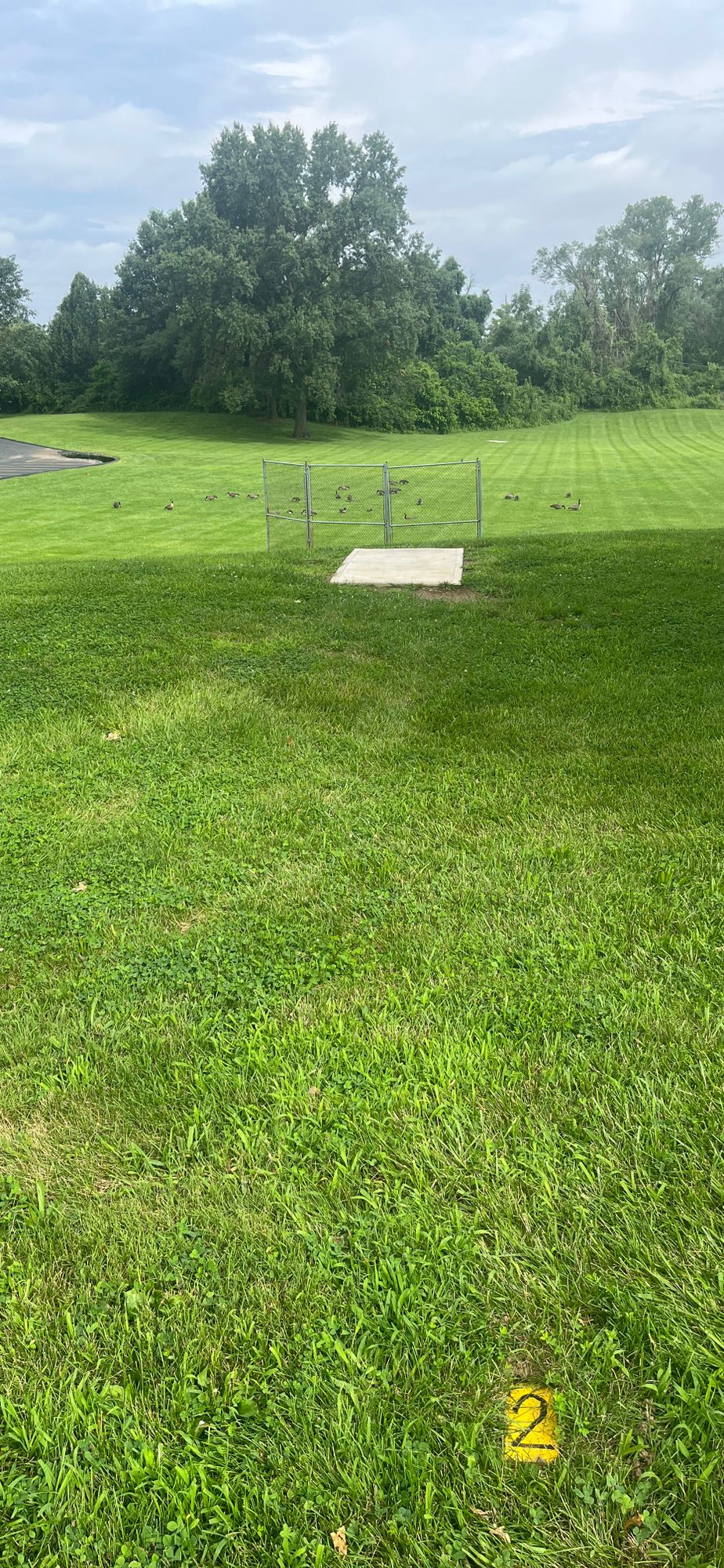 Hole 2 Gold. Par 3