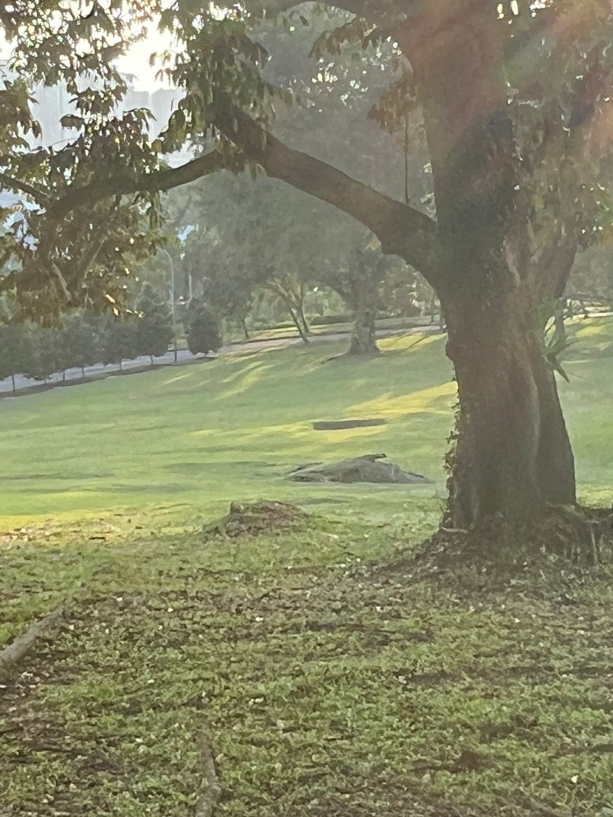 View from the green area of Hole 9, looking back towards the tee across the road.