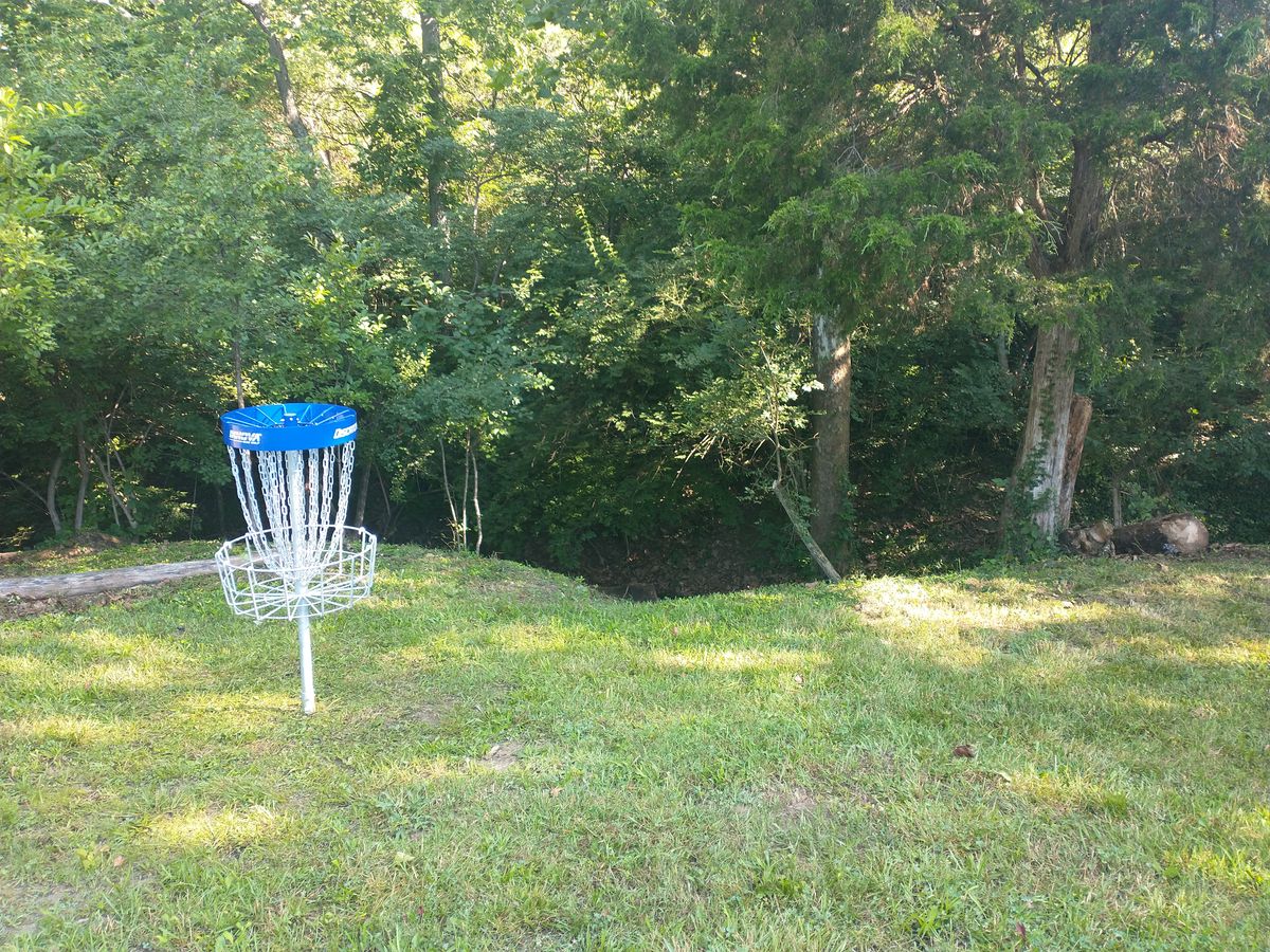 11 Blue Basket