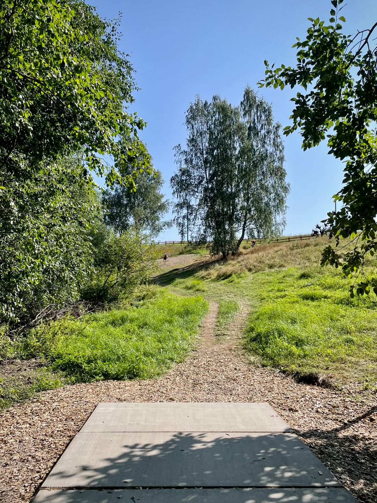 Väylä 12