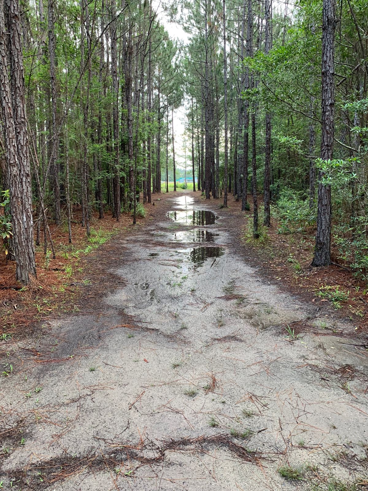 Little wet but great course layout!