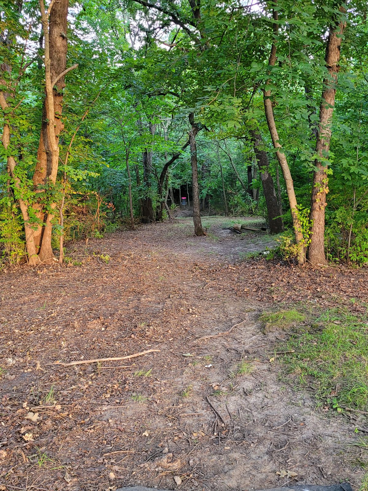 Hole 6