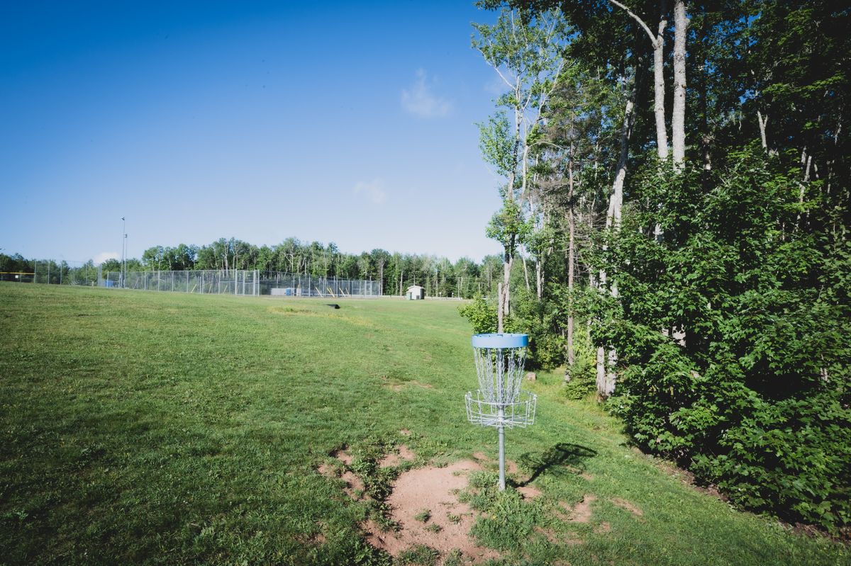 Hole 7 Basket looking towards tees. 