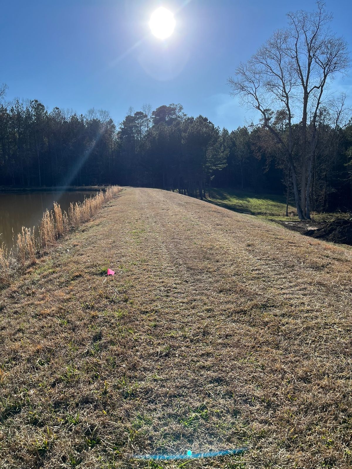 Hole 10 - tee to basket