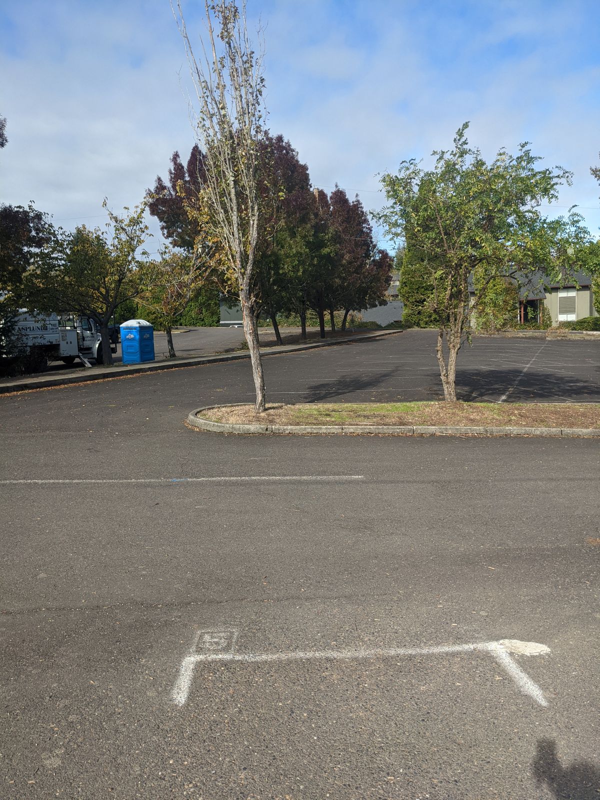 Hole 5 tee box