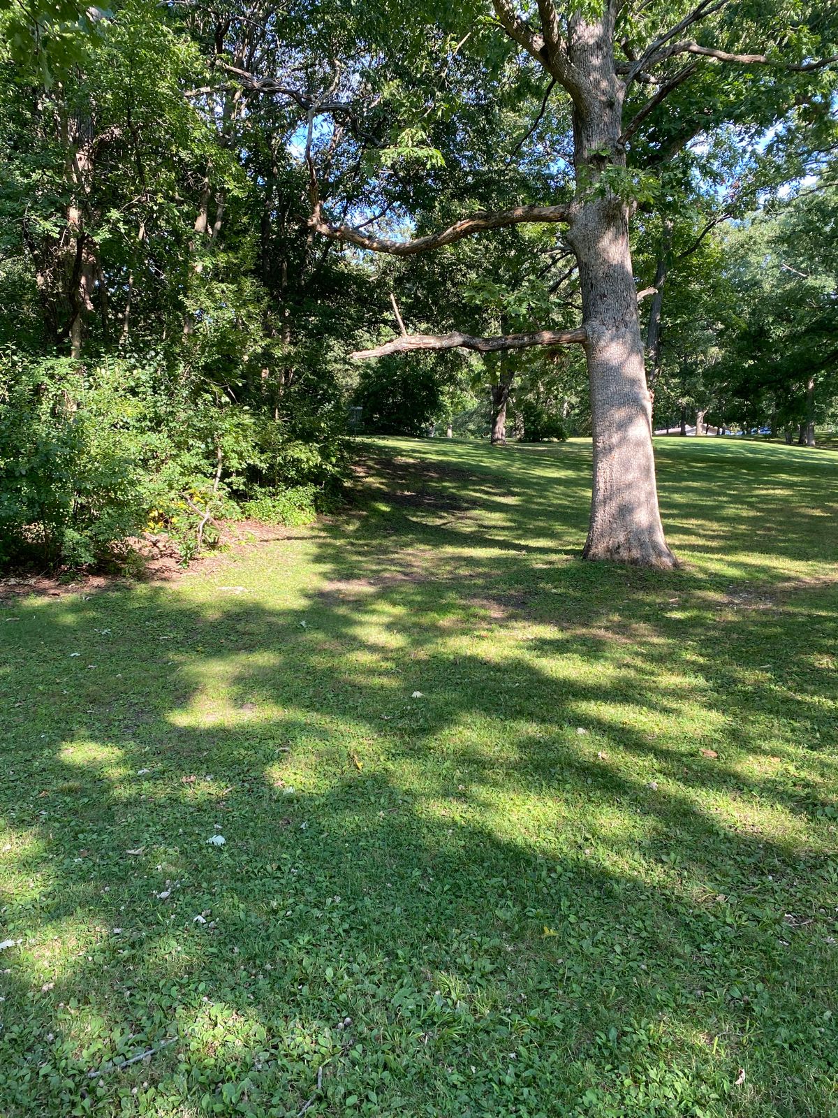Hole 3 from the tee pad. White basket is up and left on the edge of the Pit Of Doom.
