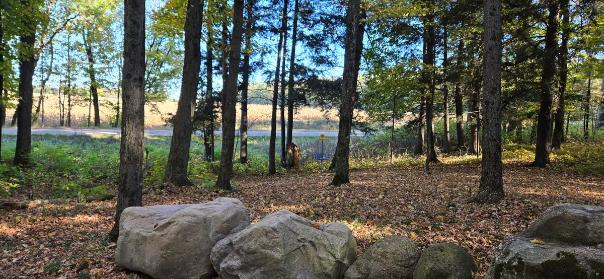 Hole 3 basket from outside the rock wall