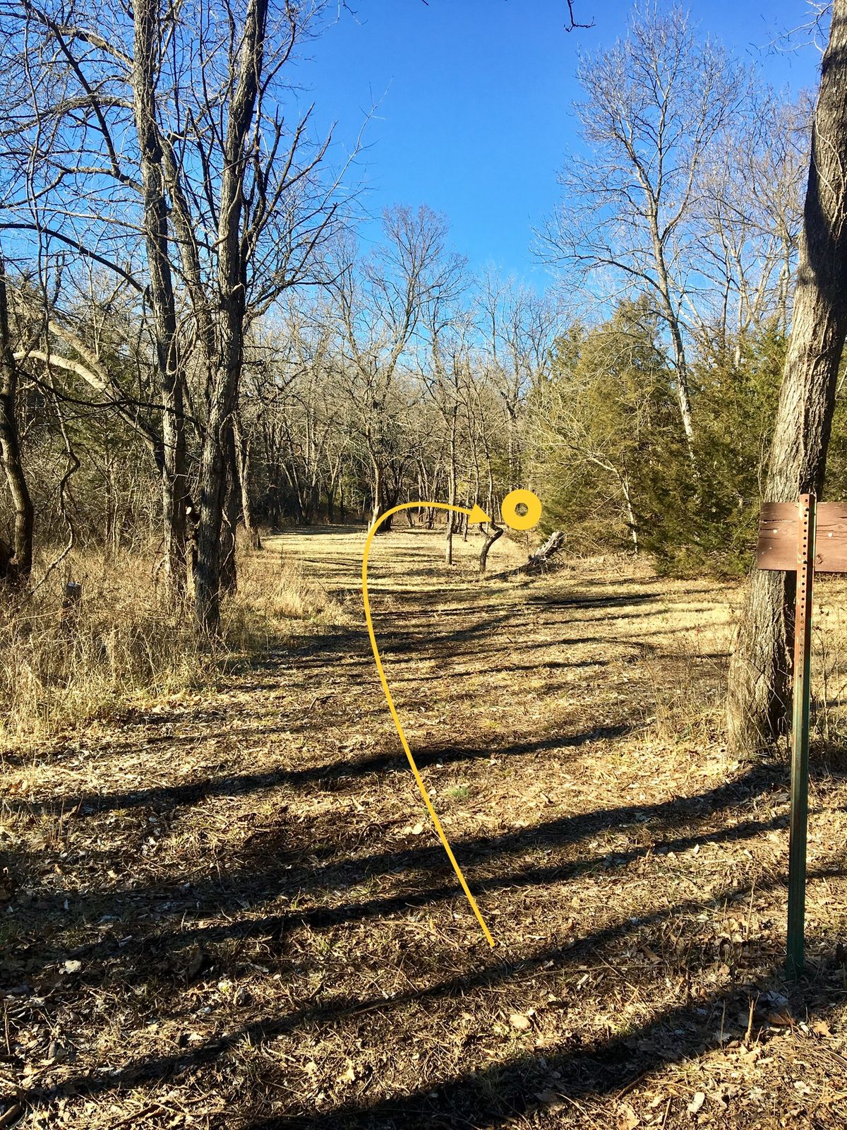 Hole 10 Tee
