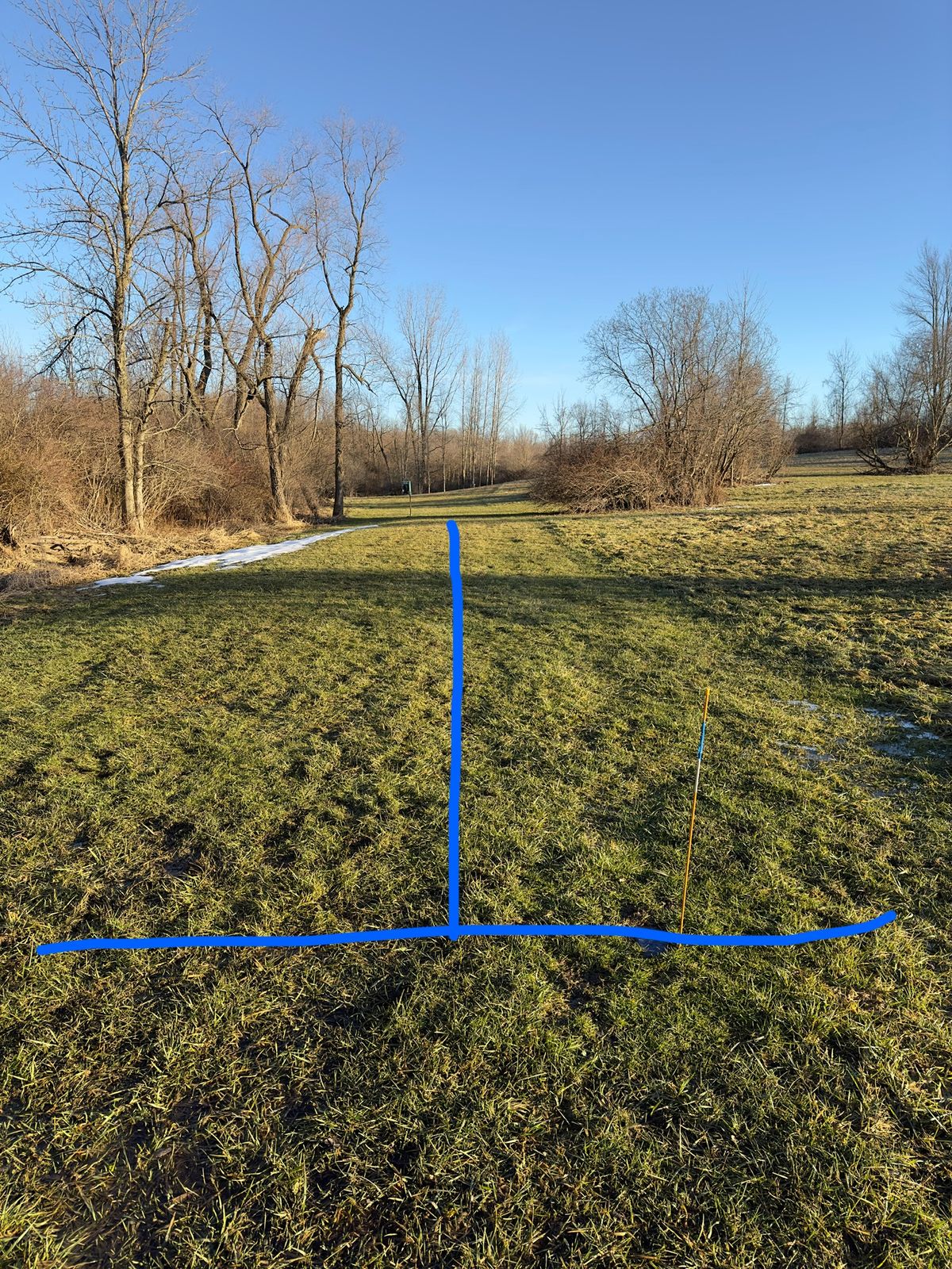 Blue marker
Fairway Line for Hole #8
The basket is straight ahead