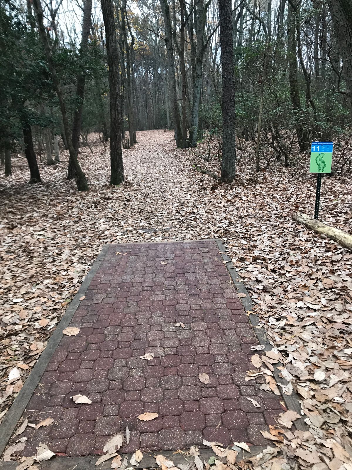 Hole 11 long tee