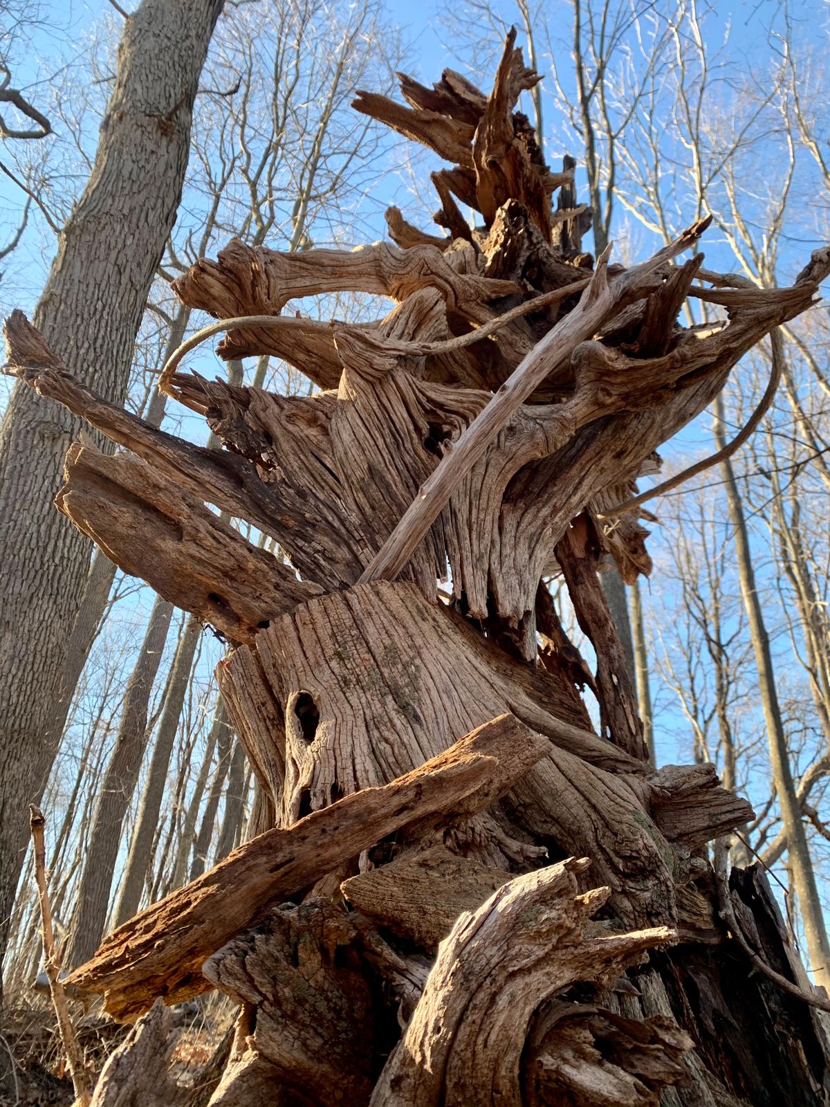 The 2 Mile Totem