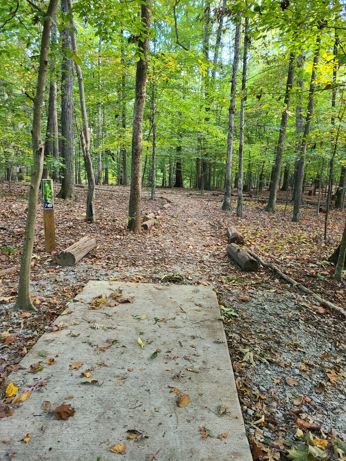 Hole 7 was fun!