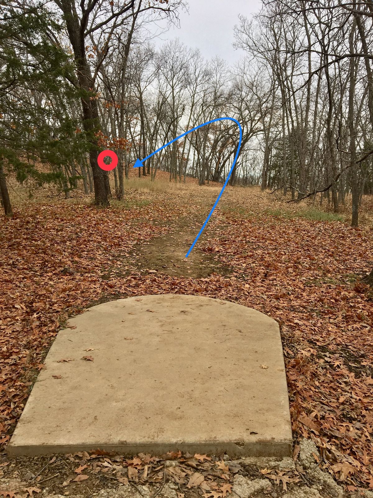 Hole 14 Tee