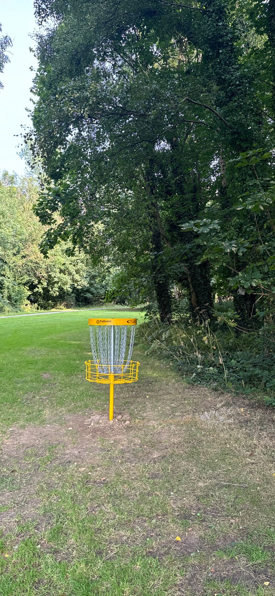 hole 8’s basket
