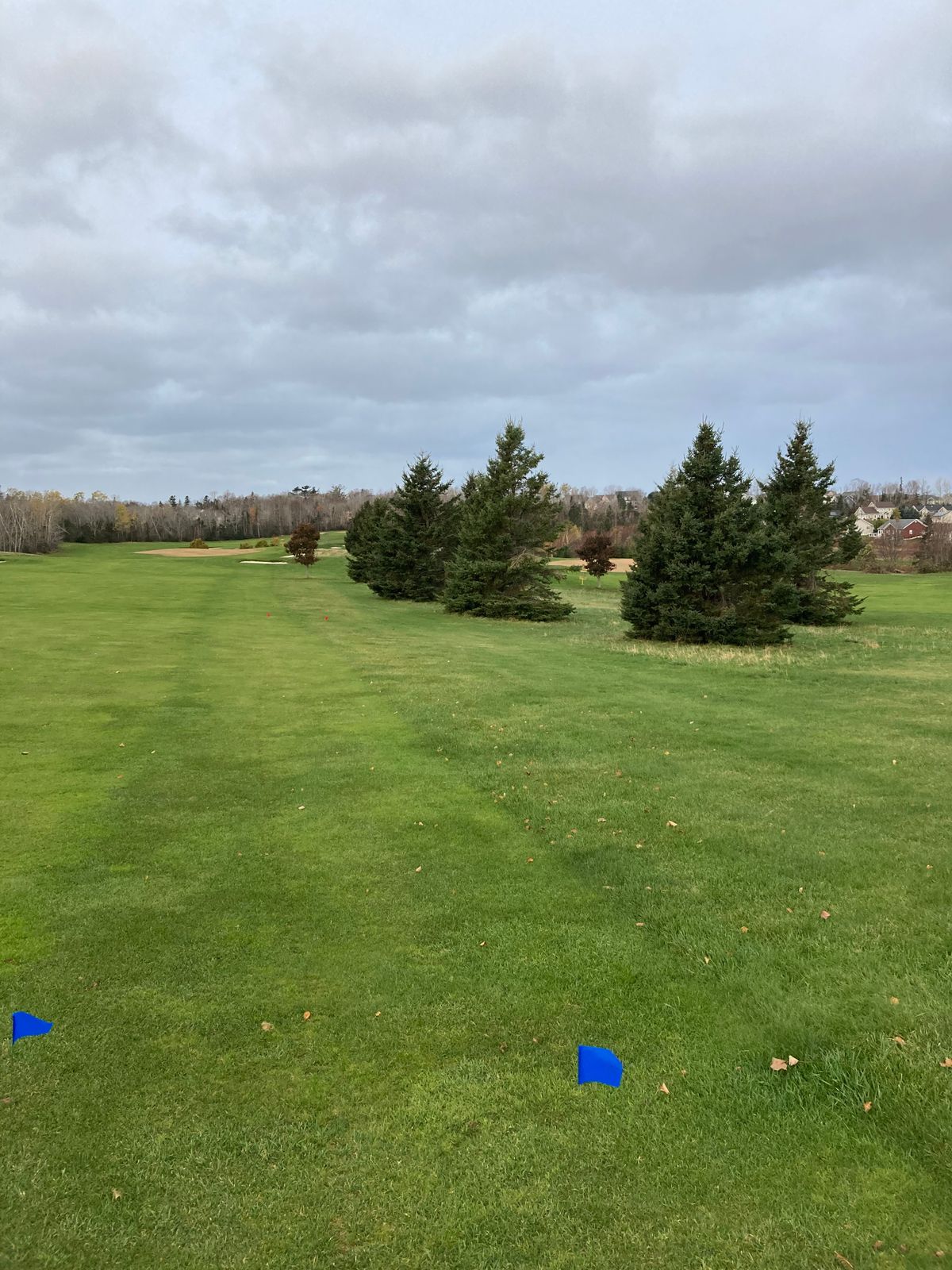 Hole 2 Blue tee