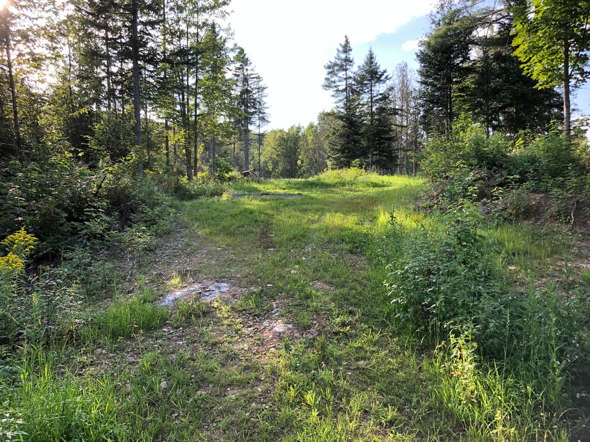17 right side of local hyzer route looking over to 16