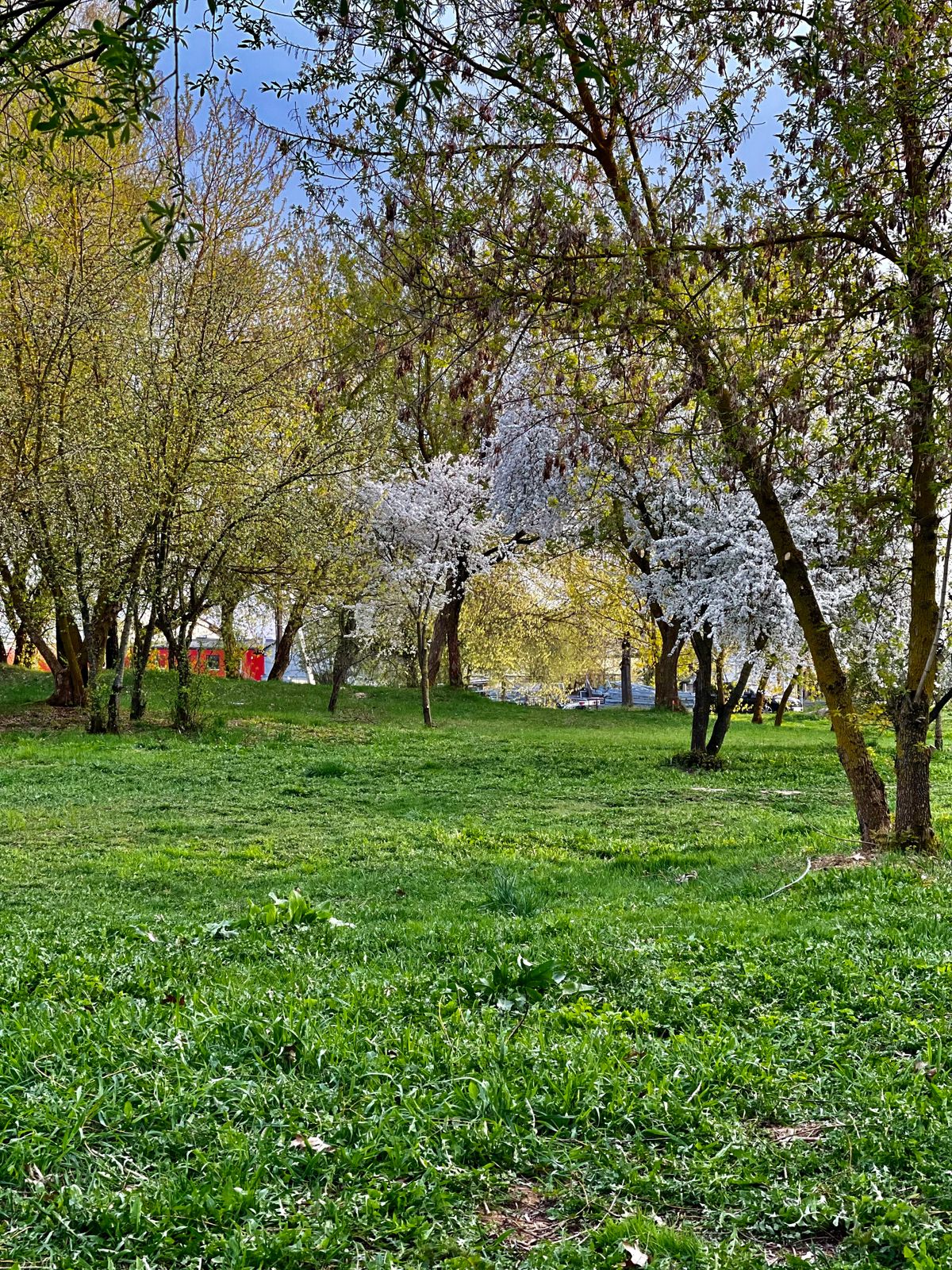 Spring in the course