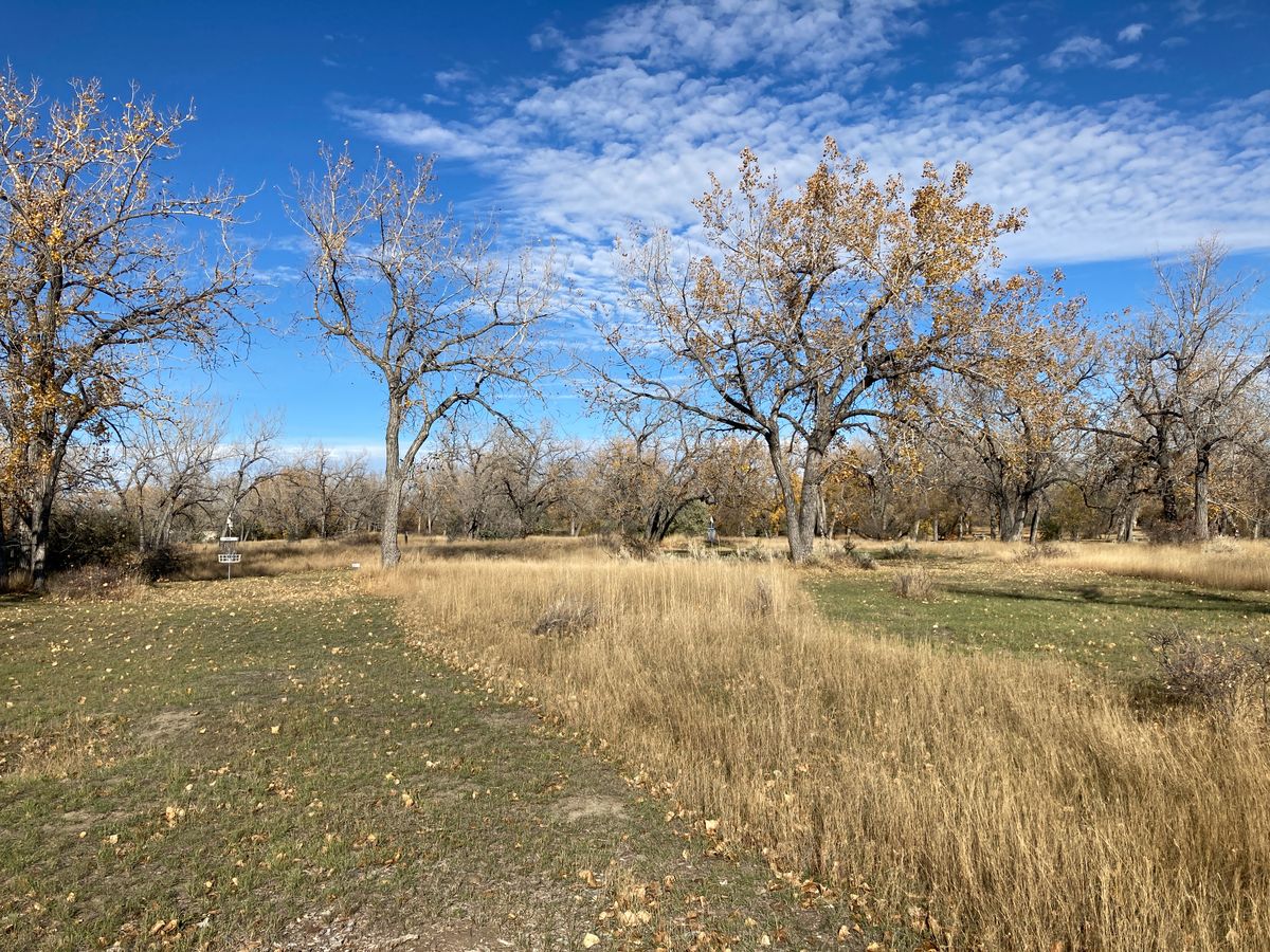 Hole 3 fairways, white basket on the left, blue further back on the right