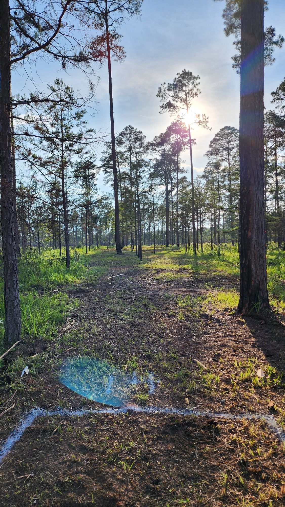Hole 14 575'