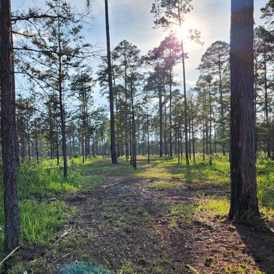 Hole 14 575'