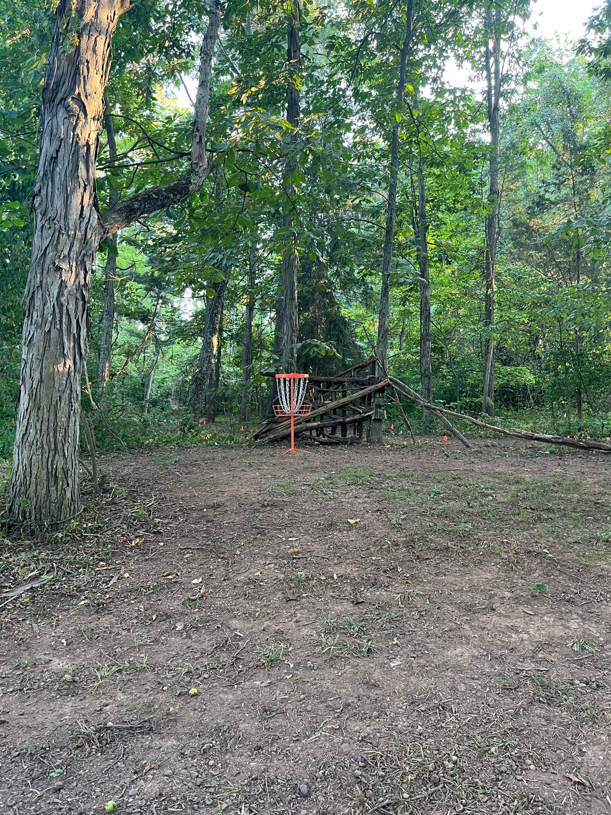 Hole 4