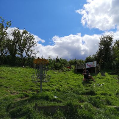 7th Basket