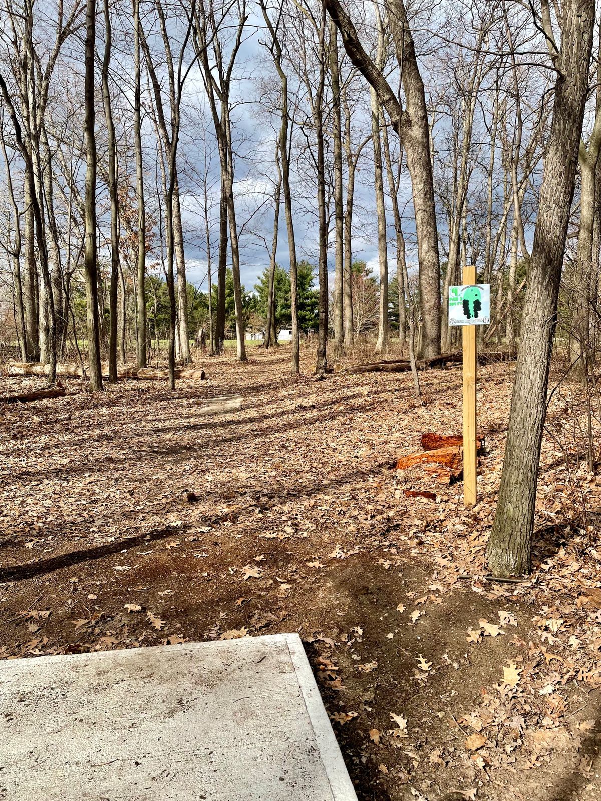 Hole 4 fairway