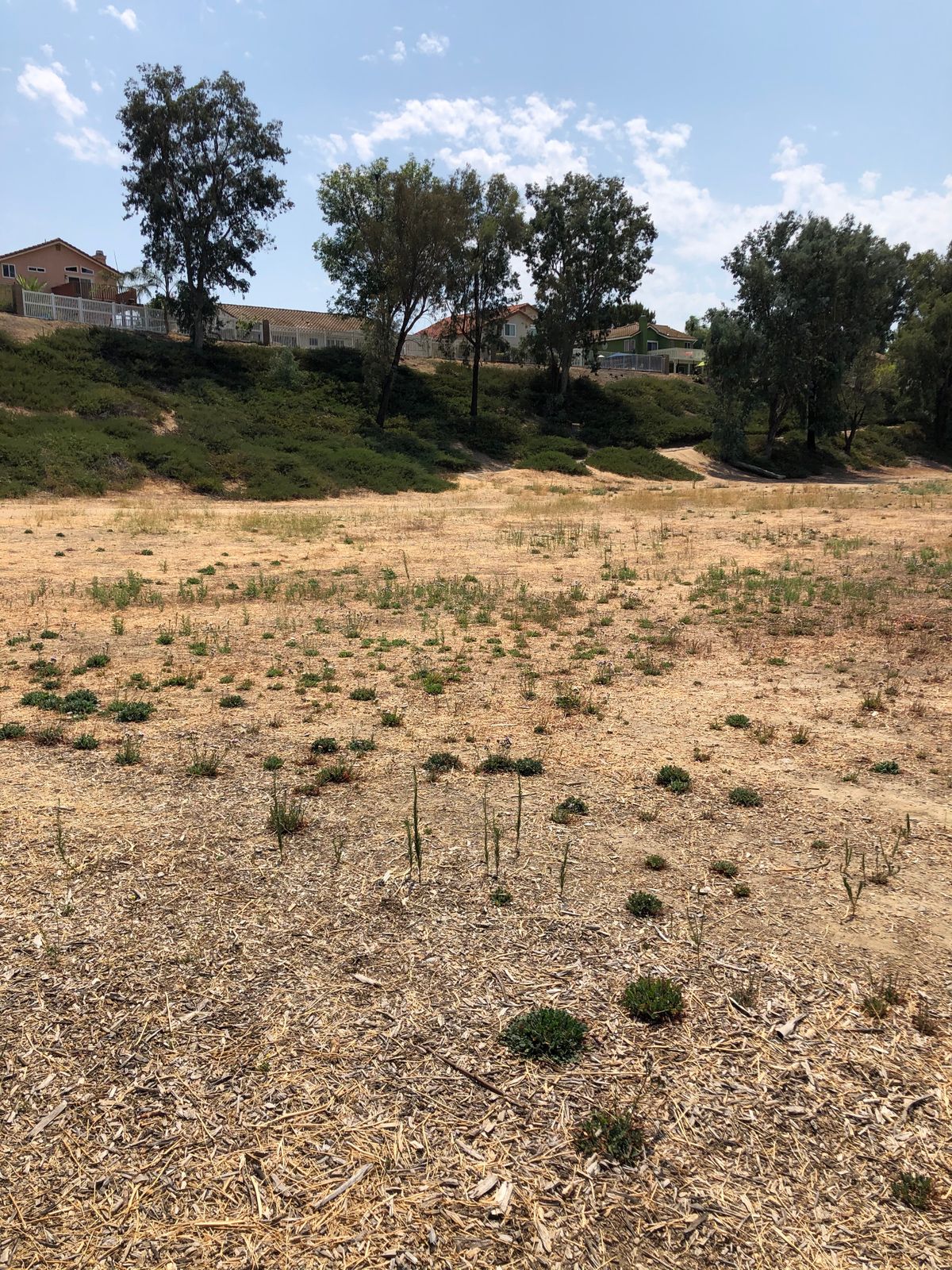Hole 4 alternative tee