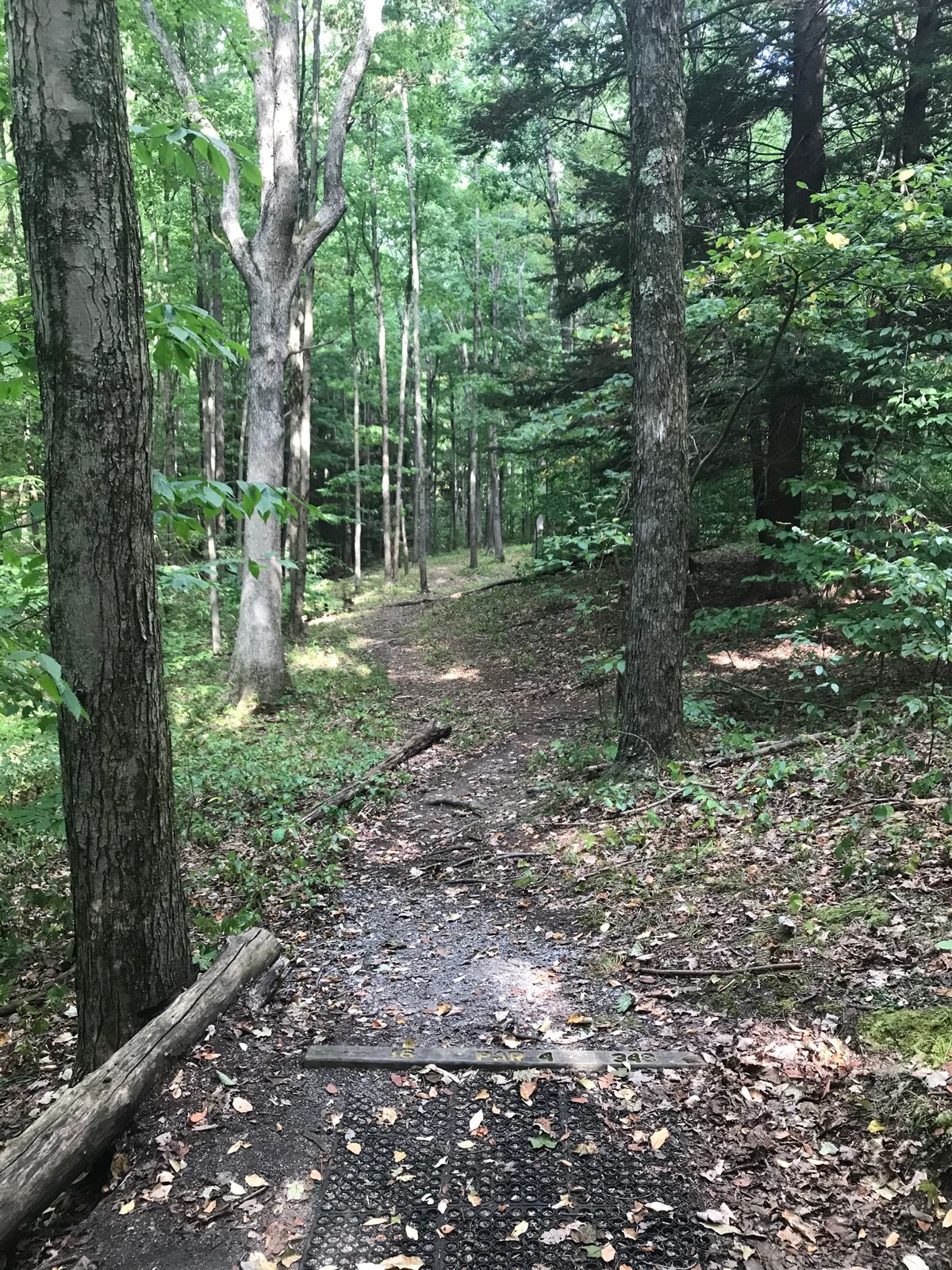#16 tee/fairway 
Par 4
Dog leg right