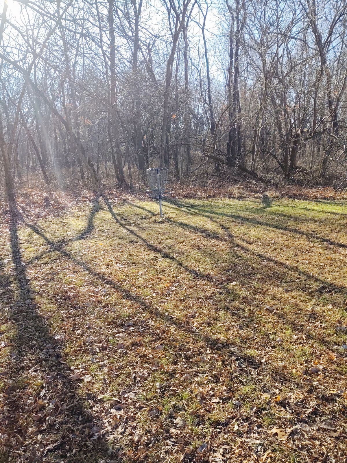 Hole 12 basket