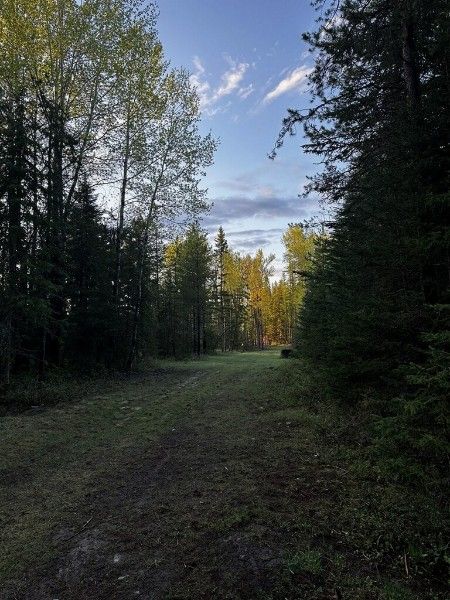 Looking down the fairway on Hole 5. 📸: Jacob W.