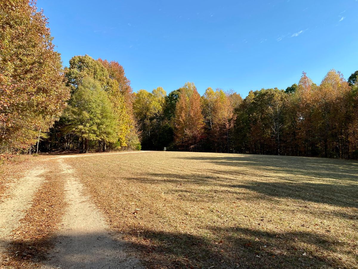 Hole 21