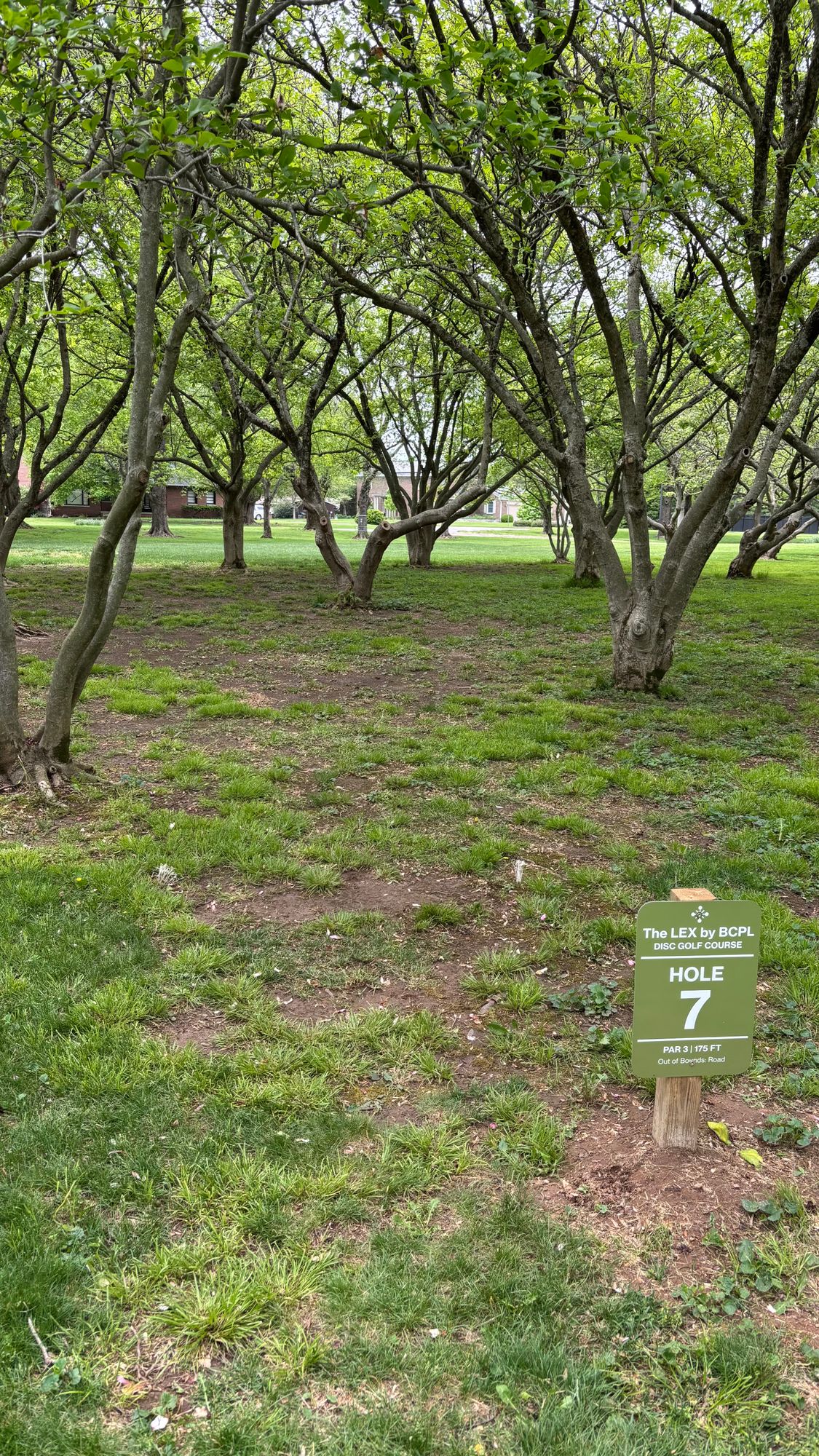 Hole 7 tee