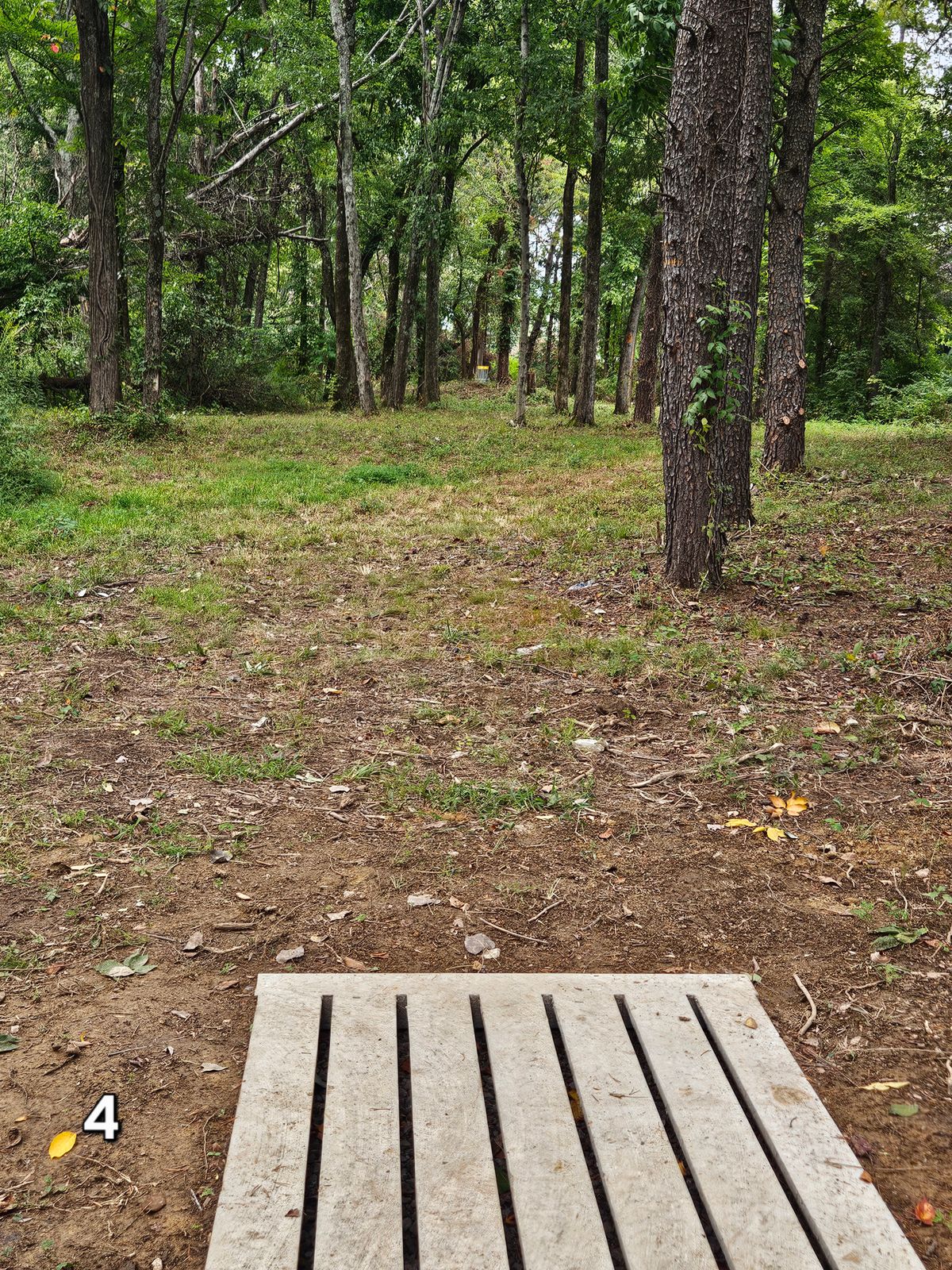 Hole 4
