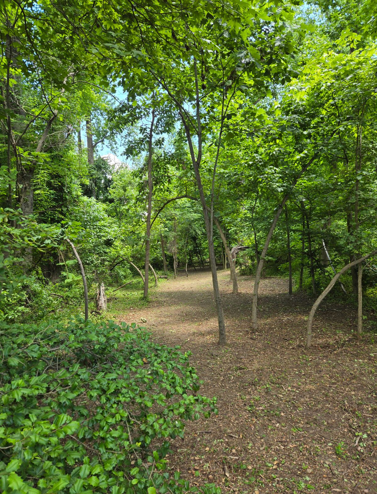 9 fairway