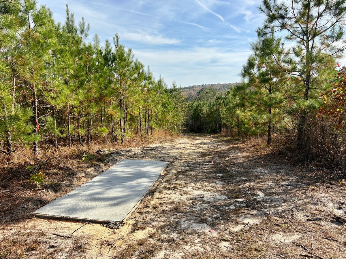 Hole 14 long tee
