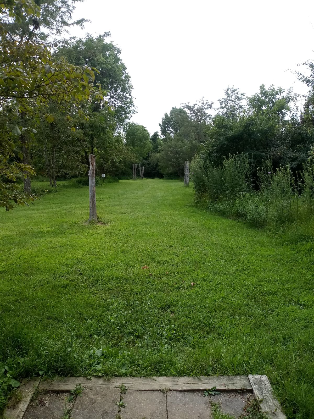 1st tee box