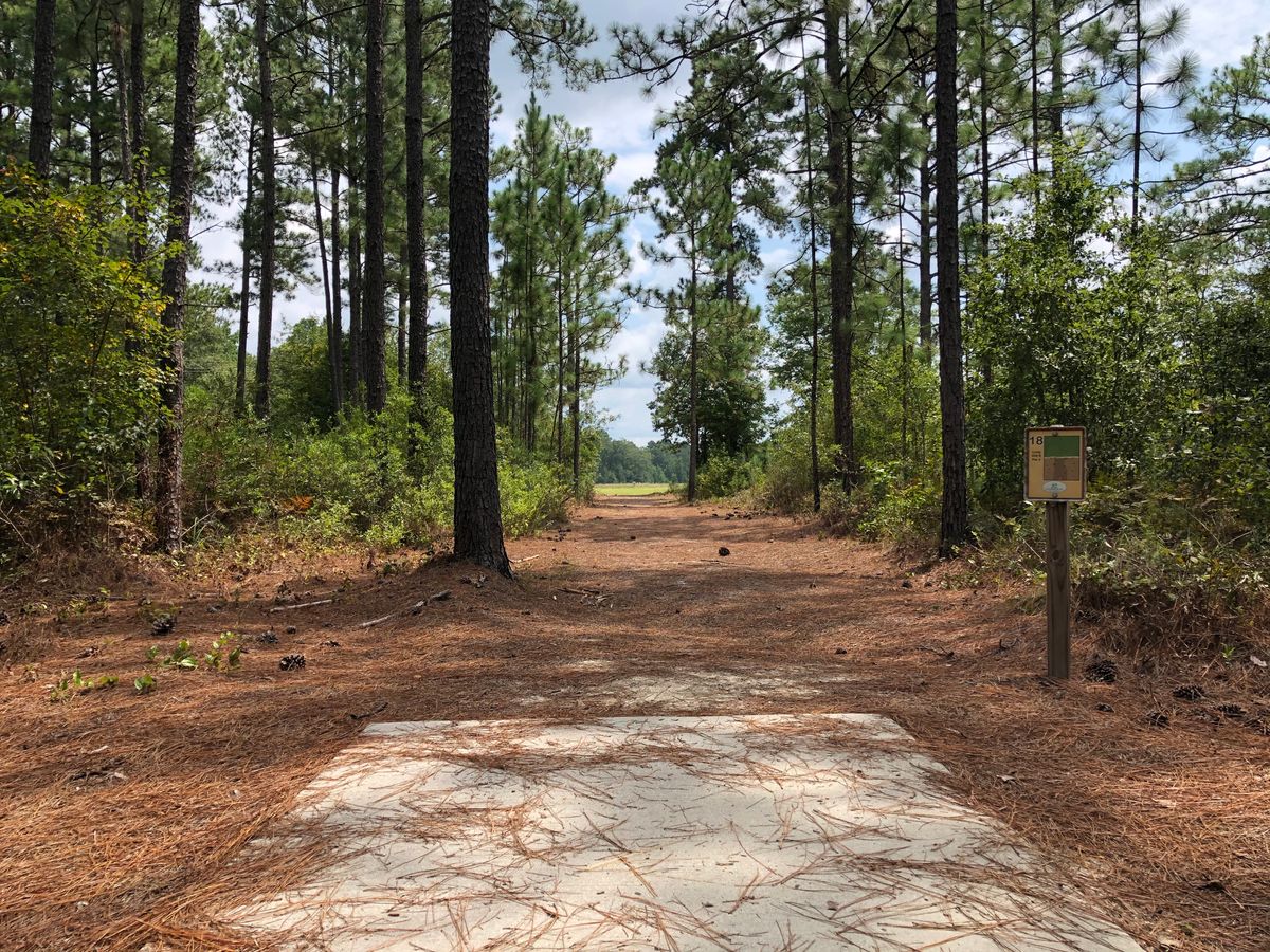 Hole 18 - Gold