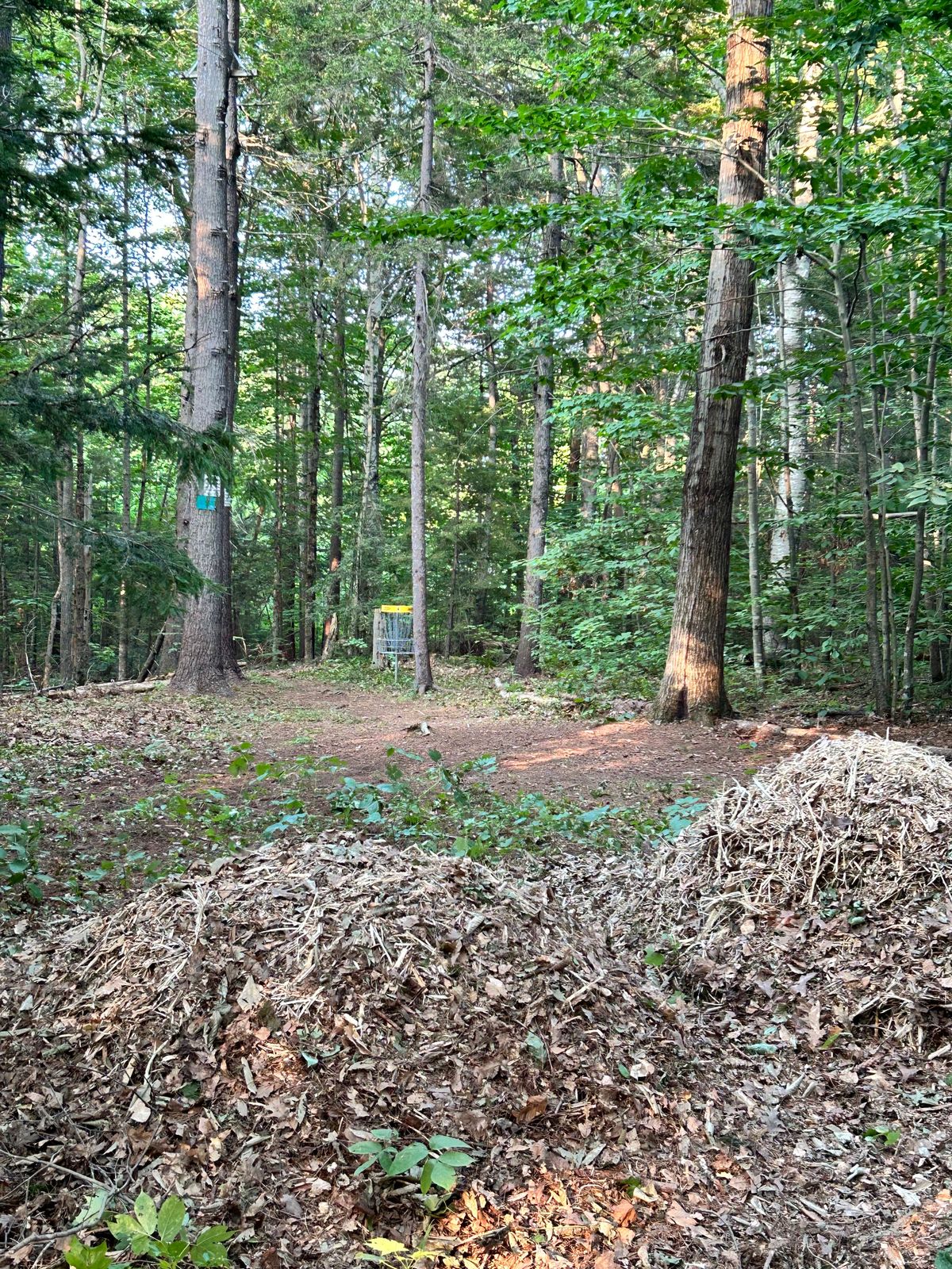 Looking down to the last few yards of the 4th hole. High ropes elements in the back to the left, and big piles from our chipping in the foreground.
