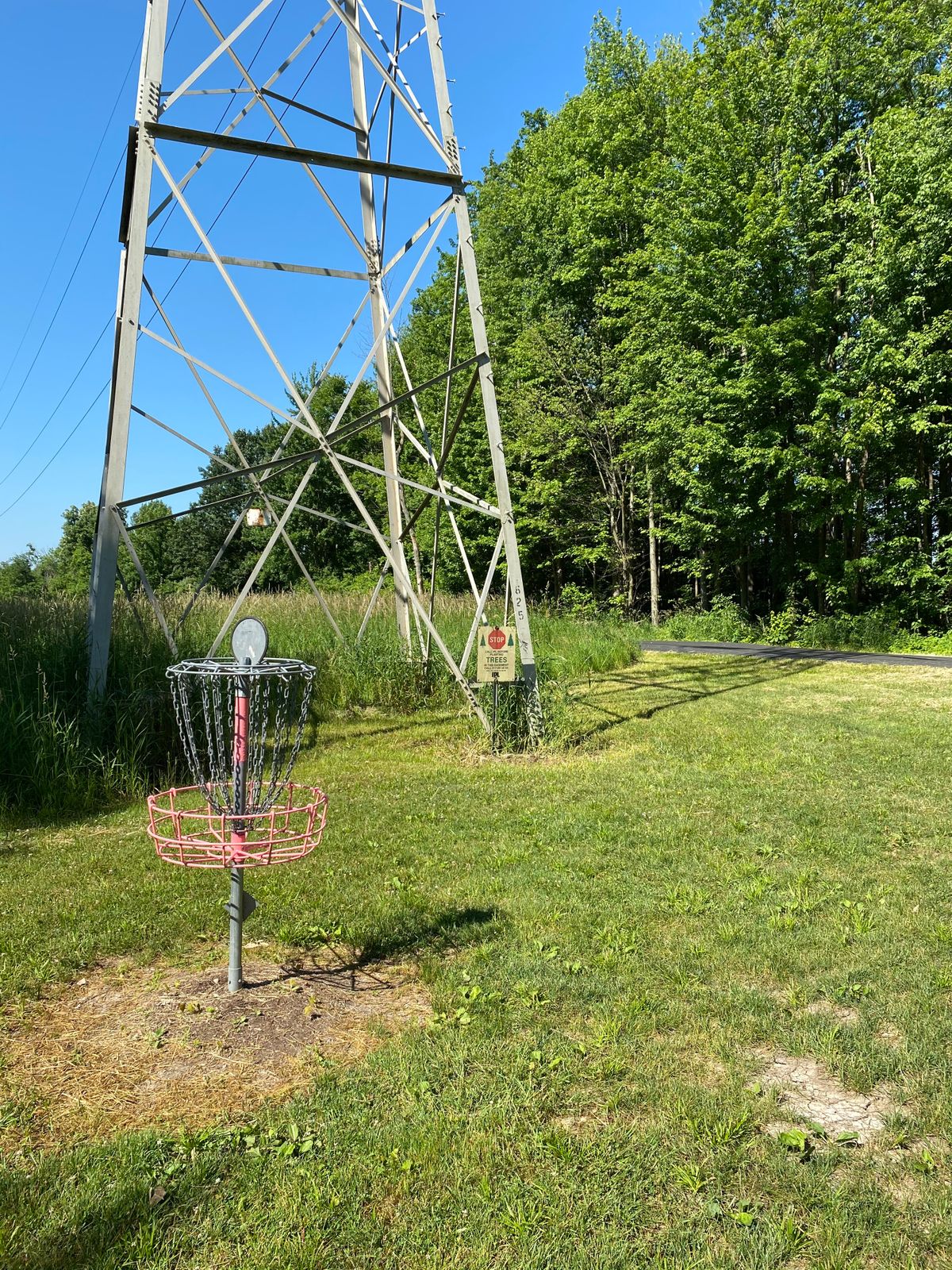 Hole 2 (Reverse)