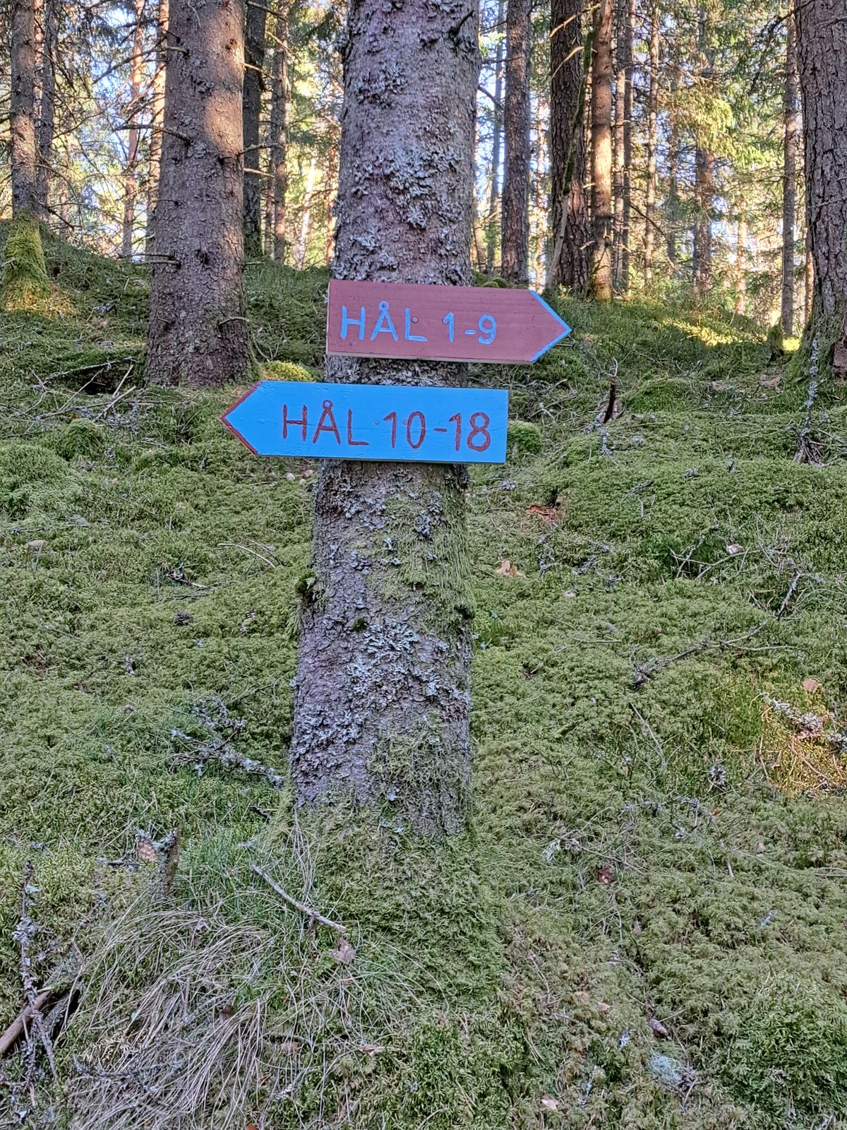 2x9 hål