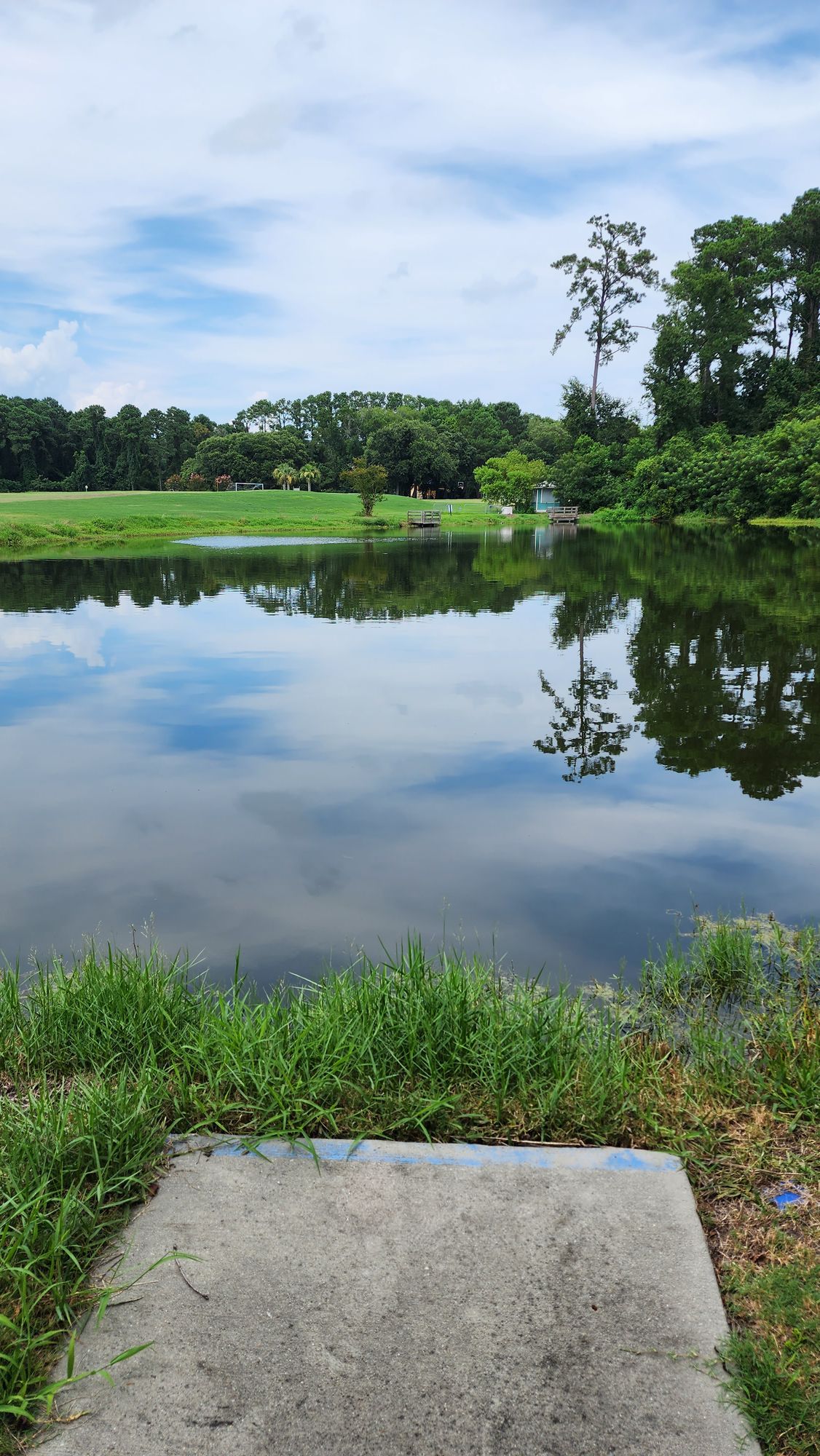 #7 Blue Tee pad. Shot across the pod. There are gators in there!
