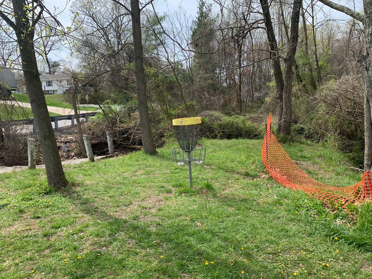 Hole 6/13 basket