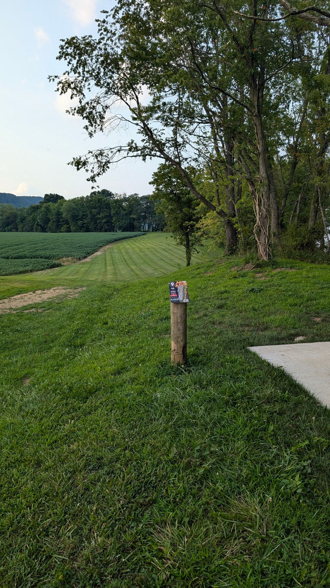 Hole 9 tee