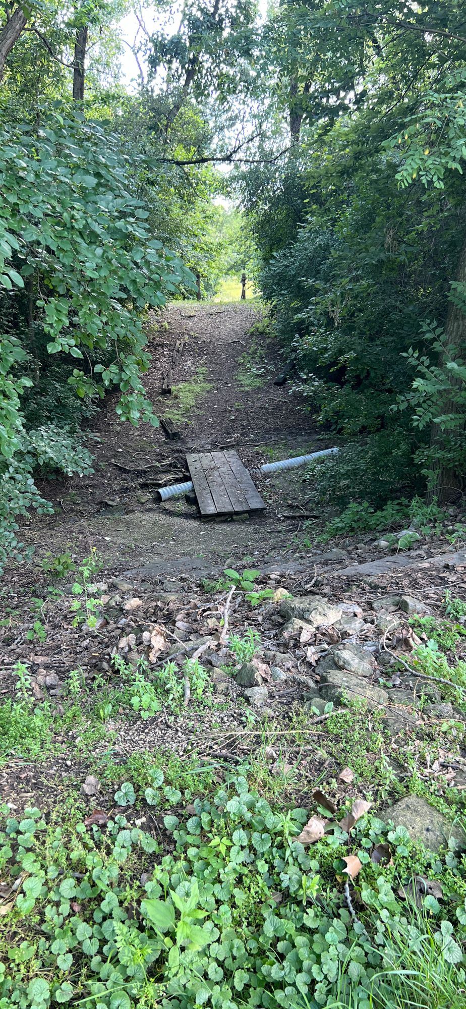 Fastest way to get from hole 5 to hole 6 is by crossing into forested path thru hole 3 - June 2024