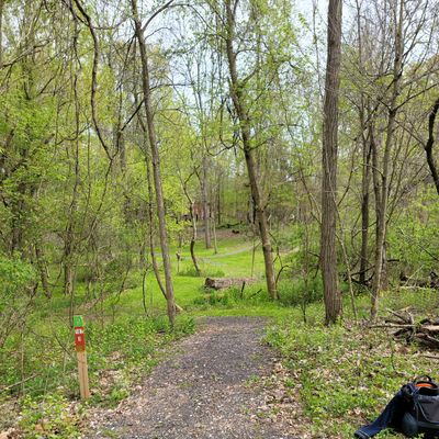 Hole #5