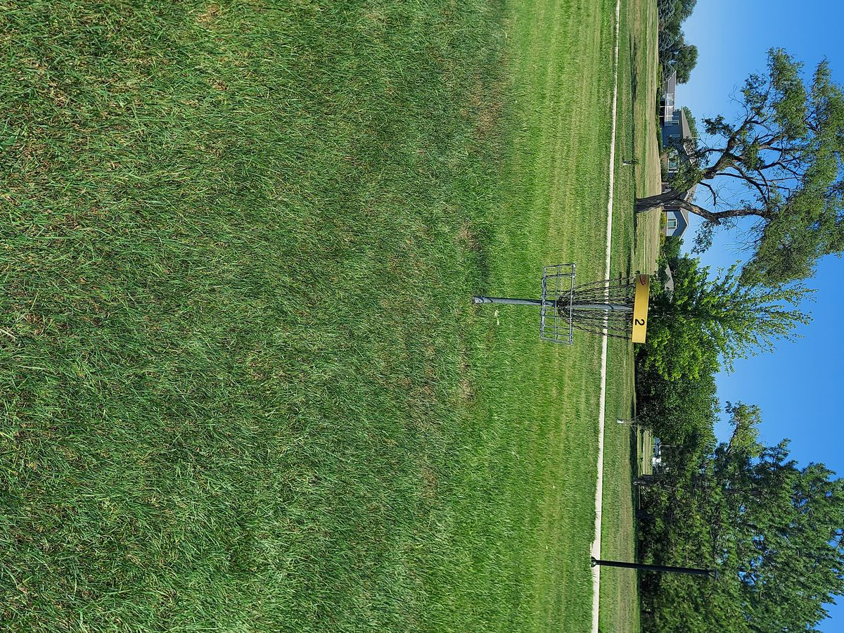 Hole 2 basket