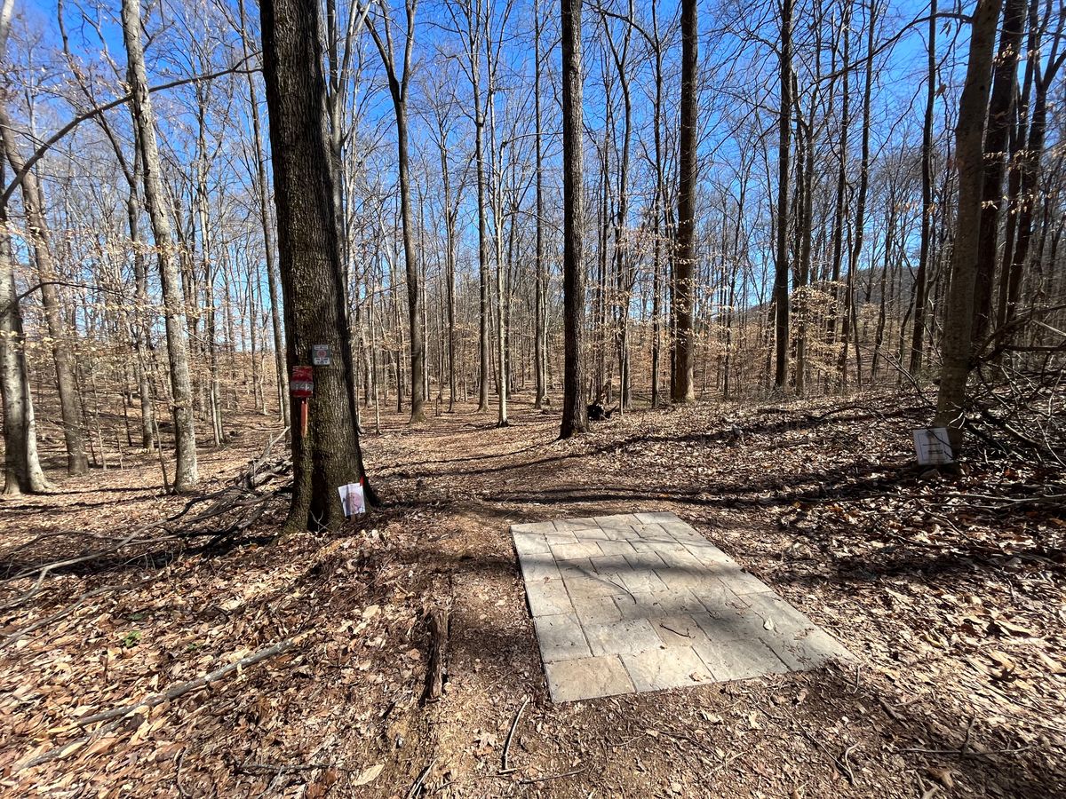 Hole 14 tee pad